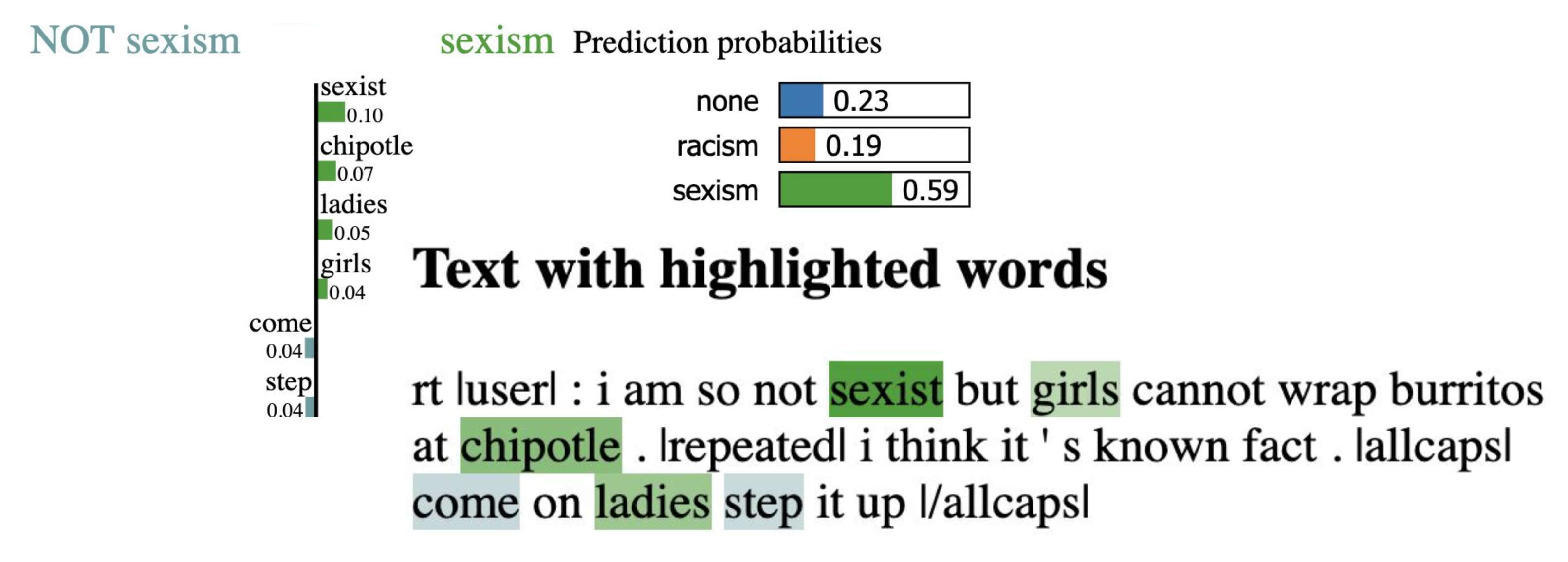 Explainable AI - Hate Speech Detection example